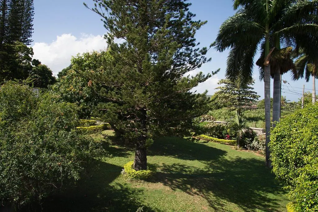 Hatfield South Villa Montego Bay